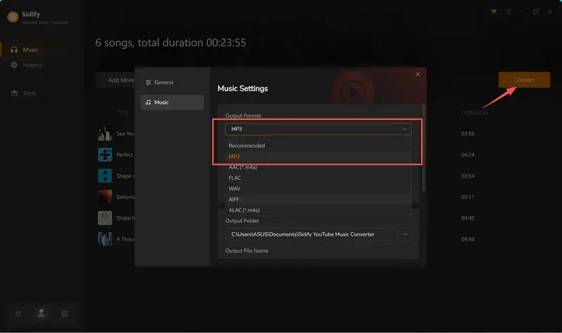 Step 3: set output format and folder